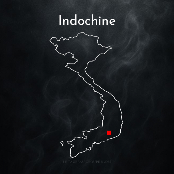 100 % Arabica - Indochine ( 1 KG )